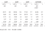 “抄底”俄罗斯的中国纸尿裤公司舒宝冲上市，但它急需开拓新市场|界面新闻